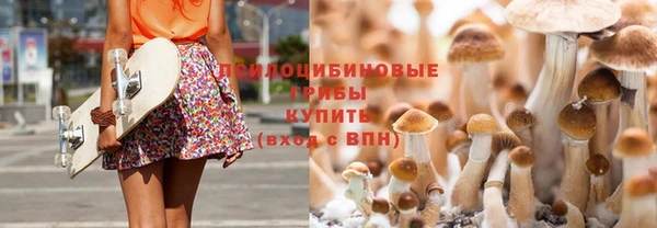 дурь Алексеевка