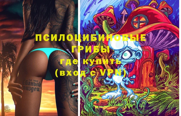 дурь Алексеевка