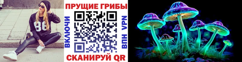 OMG ссылка  Кологрив  Псилоцибиновые грибы прущие грибы 